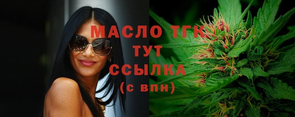 крисы Армянск