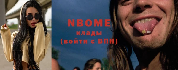 стаф Аркадак