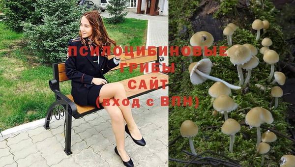 крисы Армянск