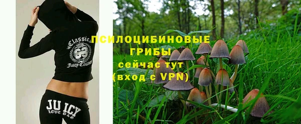 крисы Армянск