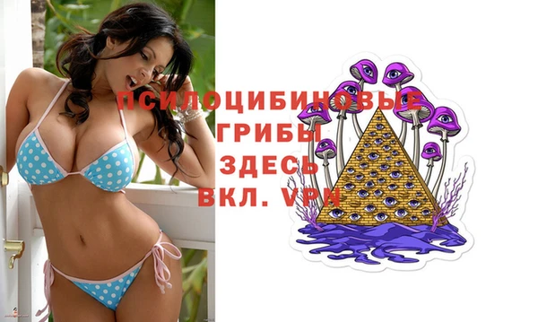 стаф Аркадак