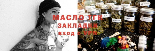 стаф Аркадак