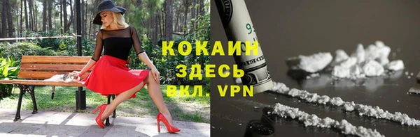 крисы Армянск